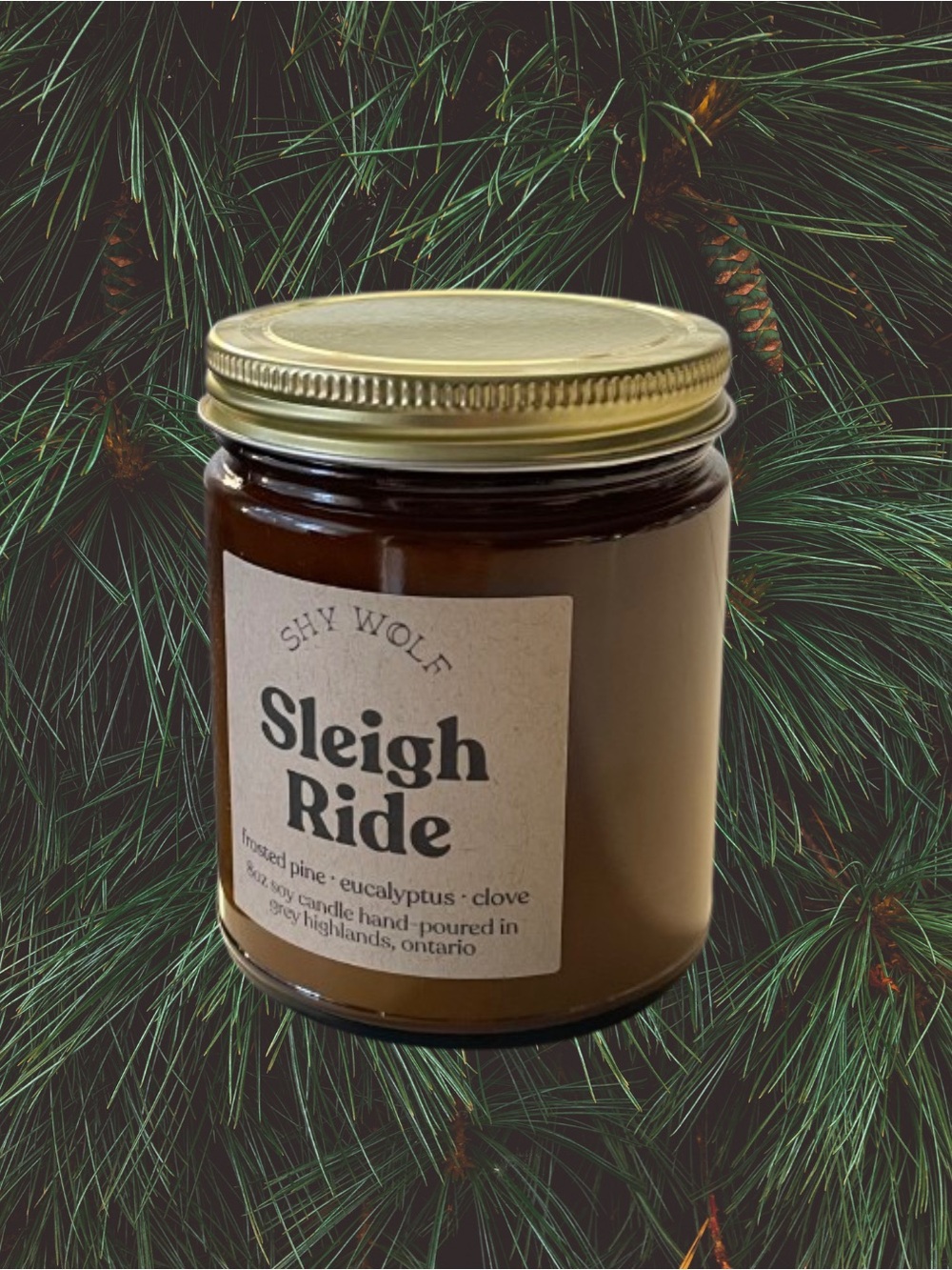 Shy Wolf Sleigh Ride 8 oz candle unused frosted pine eucalyptus clove